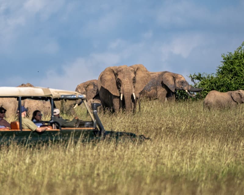 Kenya · Safari Expedition